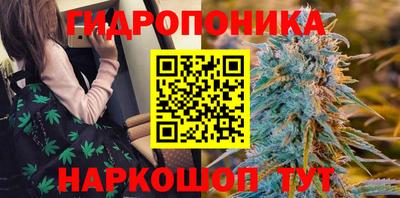 трава Гусь-Хрустальный