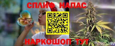 прущие грибы Гусев