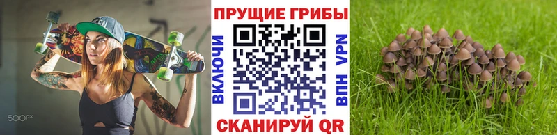KRAKEN зеркало Волжский Галлюциногенные грибы Psilocybe где купить наркотик