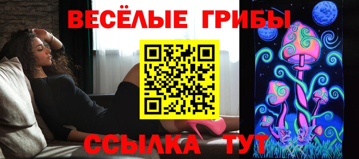 Галлюциногенные грибы MAGIC MUSHROOMS  Вход с VPN  Волжский 